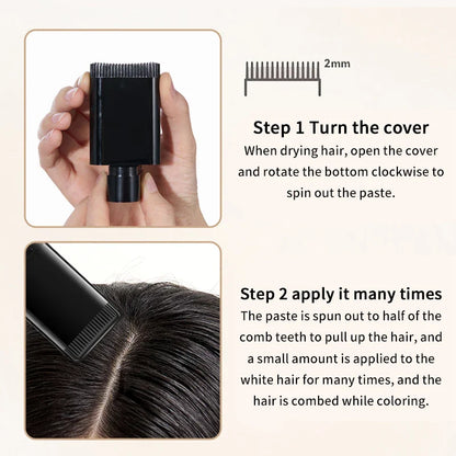 Life Girls Reabal with Hair Comb Coloring Gray Hair, Covering, Natural Glossy, Convenient to Carry, Convenient to Color on Comb, Dye Hair, Covering Your Outside, Convenient to Carry When Covering Ornaments Beauty Trend Shop