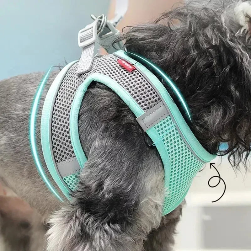 Puppy Harness Set Dog Accessories Adjustable Puppy and Cat Harness Vest French Bulldog Chihuahua Small Dog Collar Pet Leash Dogs Beauty World Shop