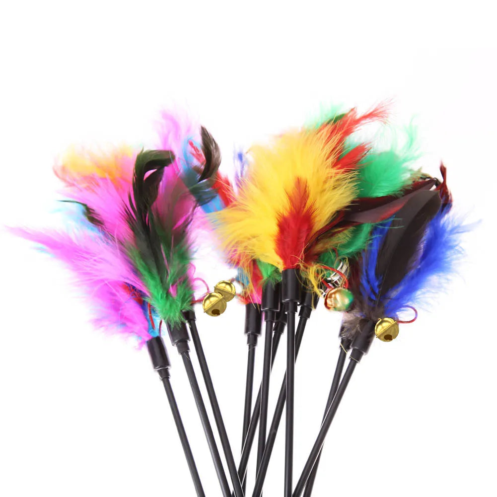 5pcs/set Cat Interactive Wand Colorful Feather Chicken Feather Cat Stick Bell Portable Creative Fashion Novelty Pet Cat Supplies Beauty World Shop