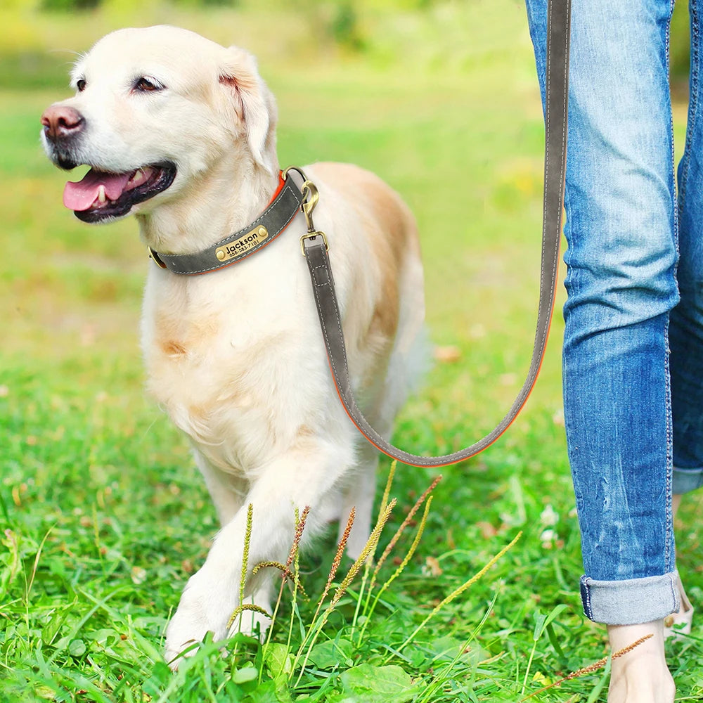 Customized Leather Dog Collar Leash Set Soft Padded Leather Collar For Small Medium Large Dogs With Free Engraved Nameplate Beauty World Shop