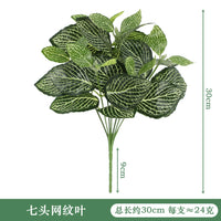 B-3