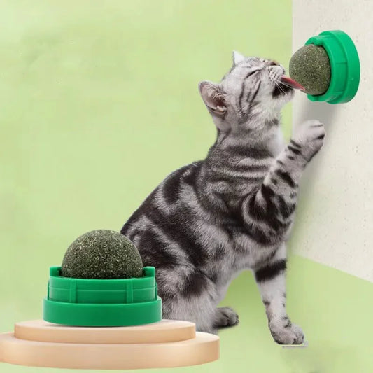 Catnip Cat Wall Stick-on Ball Toy Scratchers Treats Healthy Natural Removes Balls to Promote Digestion Cat Grass Snack Beauty World Shop