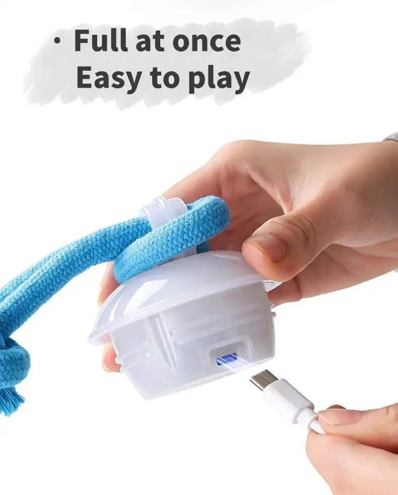 Interactive Dog Toys Smart Rolling Ball With Rope Motion Activated Automatic Moving Squeaky Dog Training Puppy Chew Toy Balls Beauty World Shop