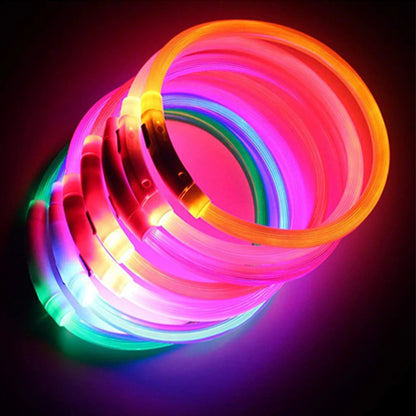 USB Rechargeable Luminous Collar Adjustable Led Glowing Dog Collar for Large Small Dogs Cat Night Light Collar Pet Safety Harnes Beauty World Shop