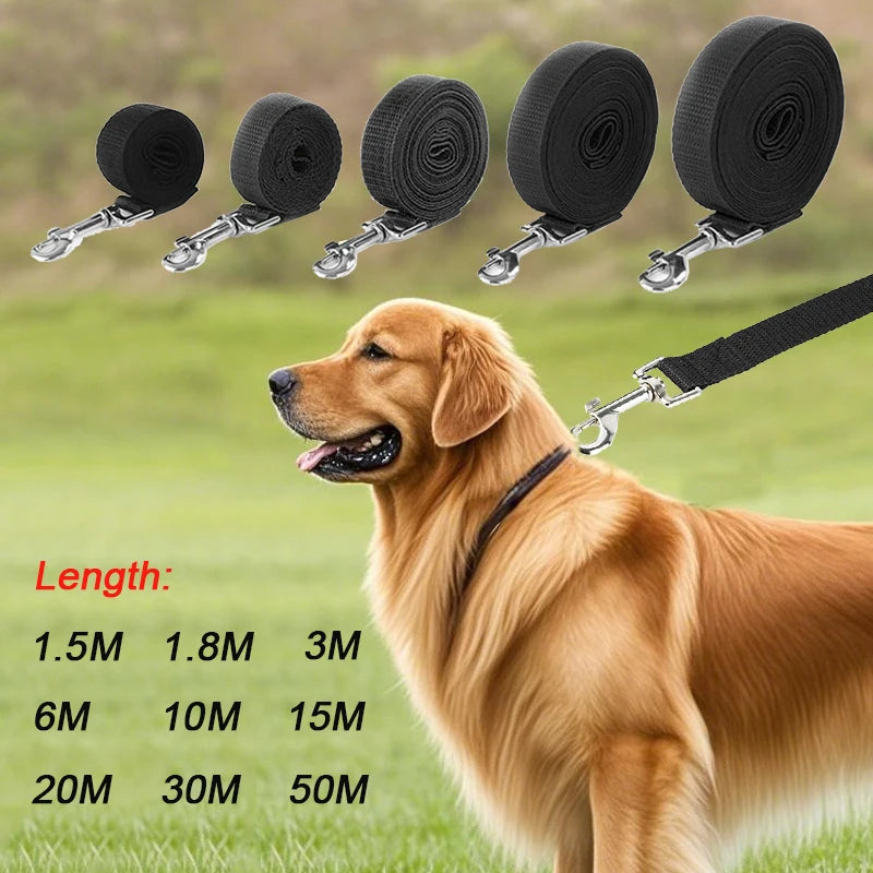Long Strong Nylon Dog Leash 10m 15m 20m Pet Training Leash For Small Big Dogs Outdoor Walking Puppy Lead Rope Labrodor Supplies Beauty World Shop