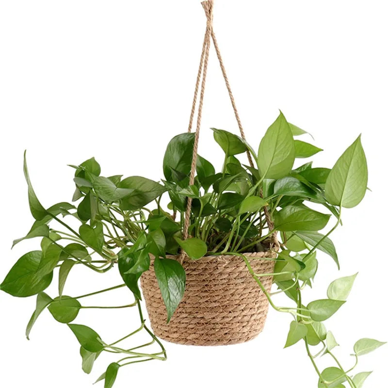 Garden Hanging Planter Macrame Plant Storage Basket Jute Rope Woven Indoor Outdoor Flower Pot Holder Plant Hangers Home Decor Beauty Trend Shop