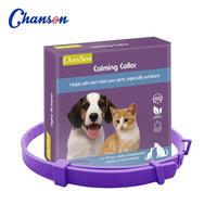 Dog2-purple-62cm