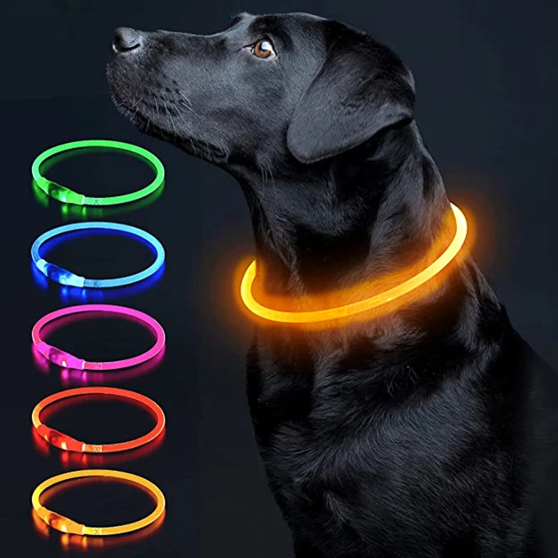 Luminous Dog Collar Light Charge Cat Necklace, Led Fashion Flashing DIY Glowing Safety Collar for Dogs Nighttime Pet Accessorie Beauty World Shop