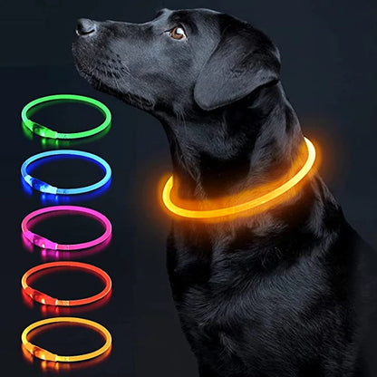 Luminous Dog Collar Light Charge Cat Necklace, Led Fashion Flashing DIY Glowing Safety Collar for Dogs Nighttime Pet Accessorie Beauty World Shop