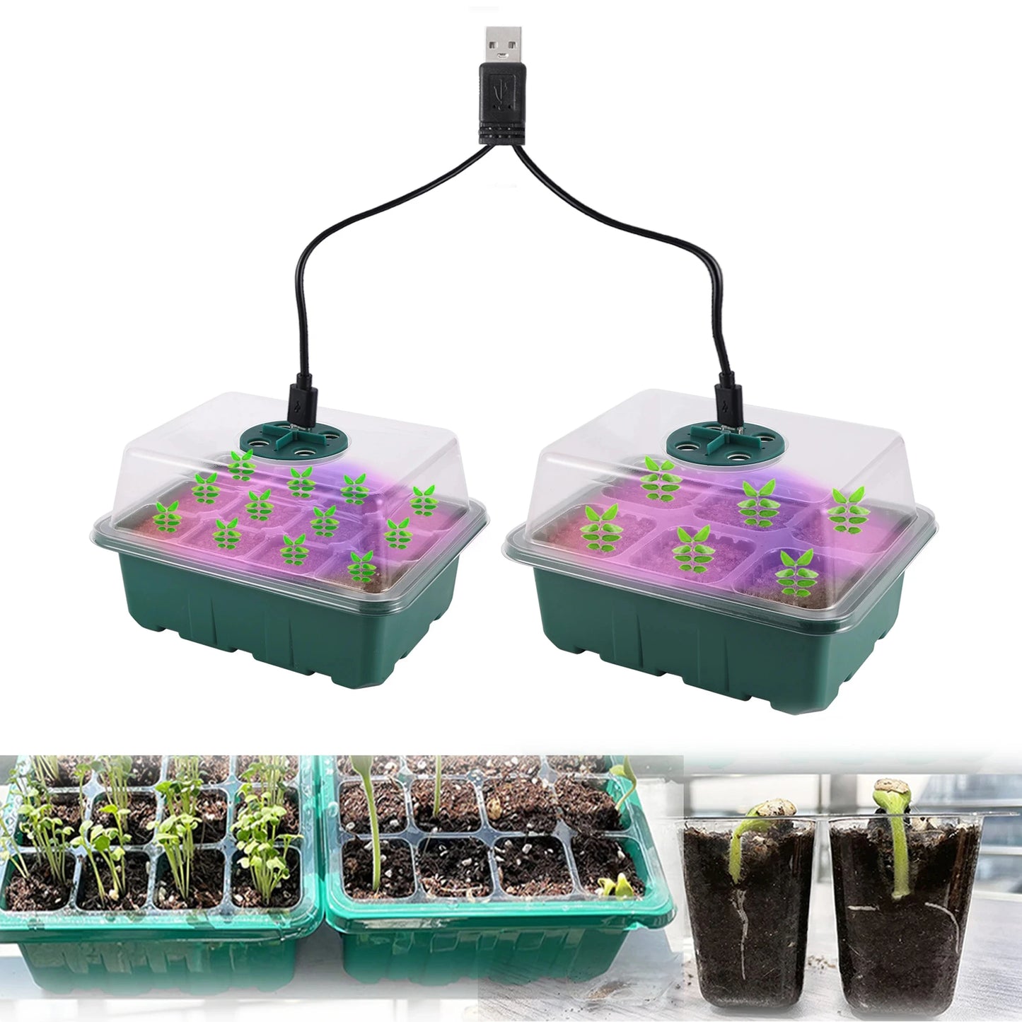 Seed Starter Tray Box With LED Grow Light Nursery Pot Seedling Germination Planter Adjustable Ventilation Humidity 6/12/13 Cell Beauty World Shop