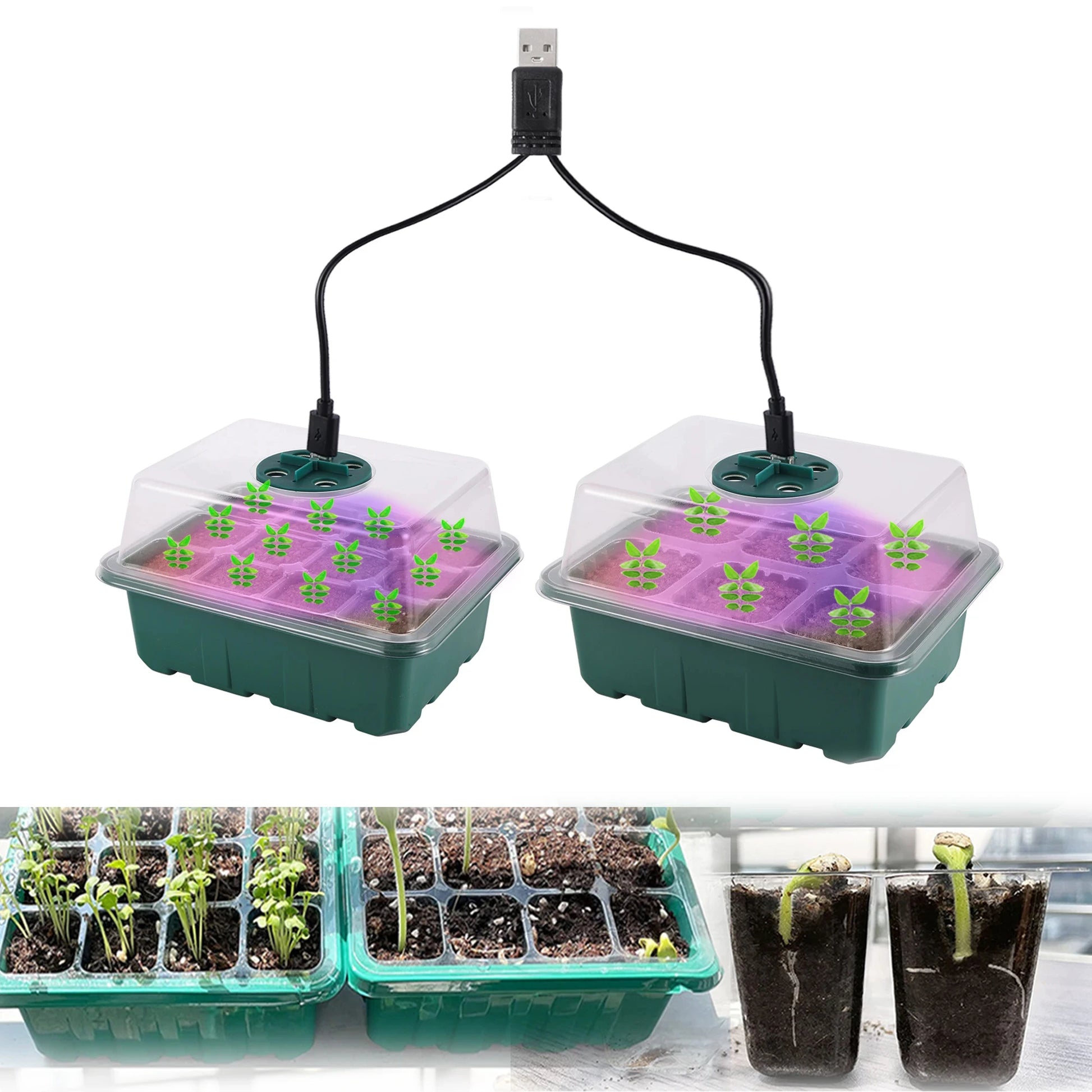 Seed Starter Tray Box With LED Grow Light Nursery Pot Seedling Germination Planter Adjustable Ventilation Humidity 6/12/13 Cell Beauty World Shop