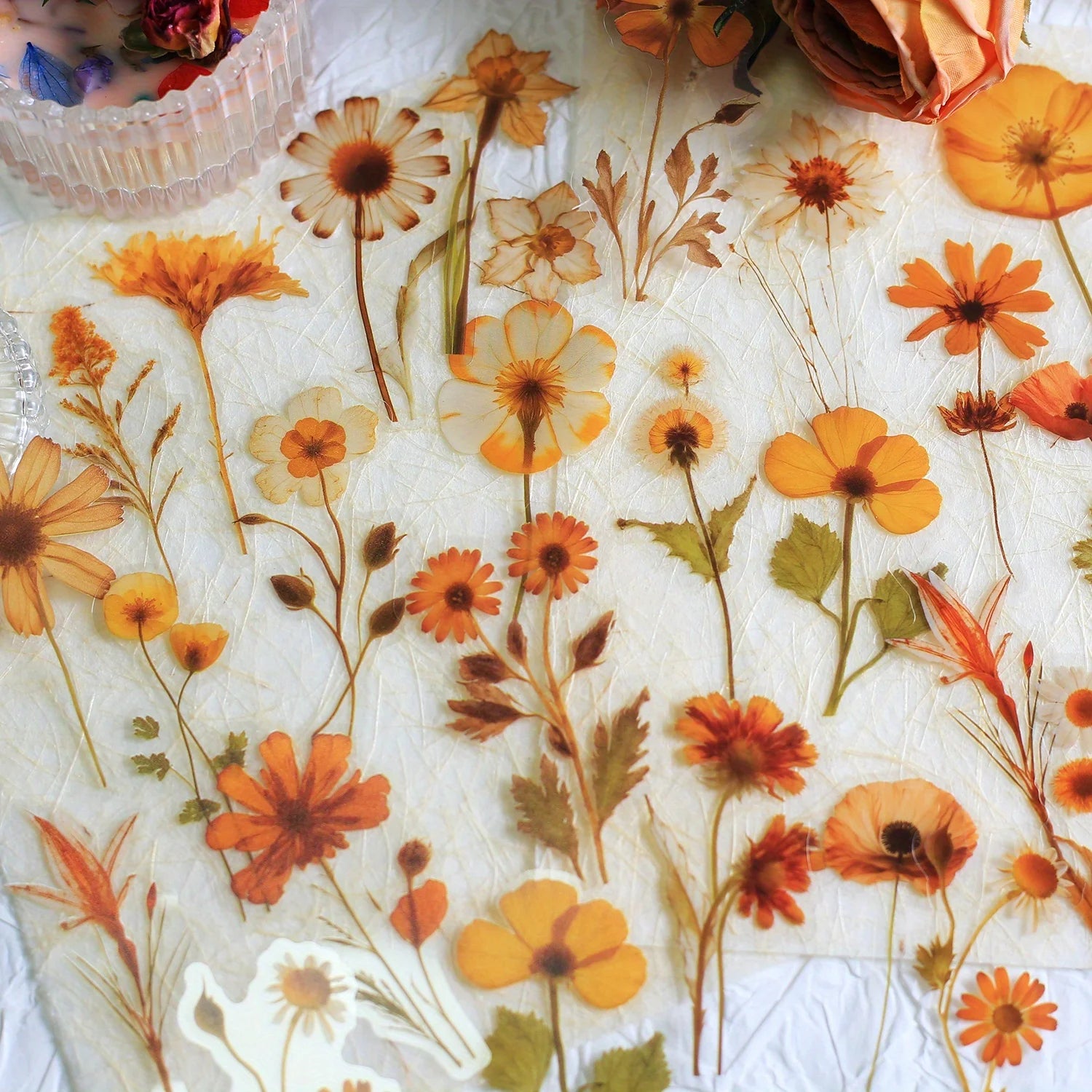 Journamm 50Pcs Transparent Decoration Flower Stickers for Scrapbooking PET Floral Stickers for Journaling Scrapbooking Beauty World Shop