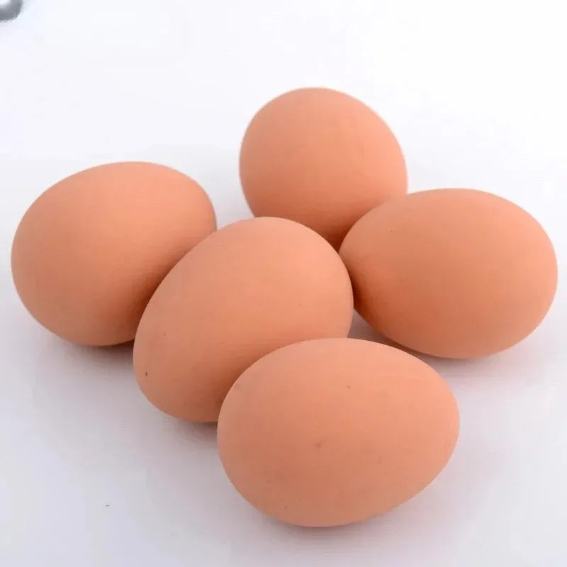 1 Pcs Novelty Bouncy Eggs Realistic Fake Rubber Bouncing BallsModel Farm Chicken Nesting Hen Hatching Egg Pet Toy Prank Joke Beauty World Shop