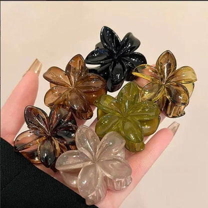 6PCs fashion colorful transparent flower small hair claw clips clamp hairpin Barrette for thick thin hair accessories for women Beauty World Shop