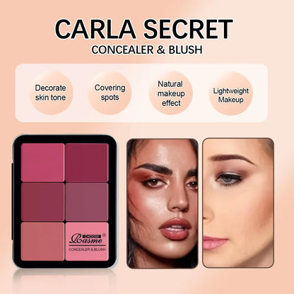 12-color iron box concealer blush cream matte highlight contour makeup all-in-one palette Beauty World Shop