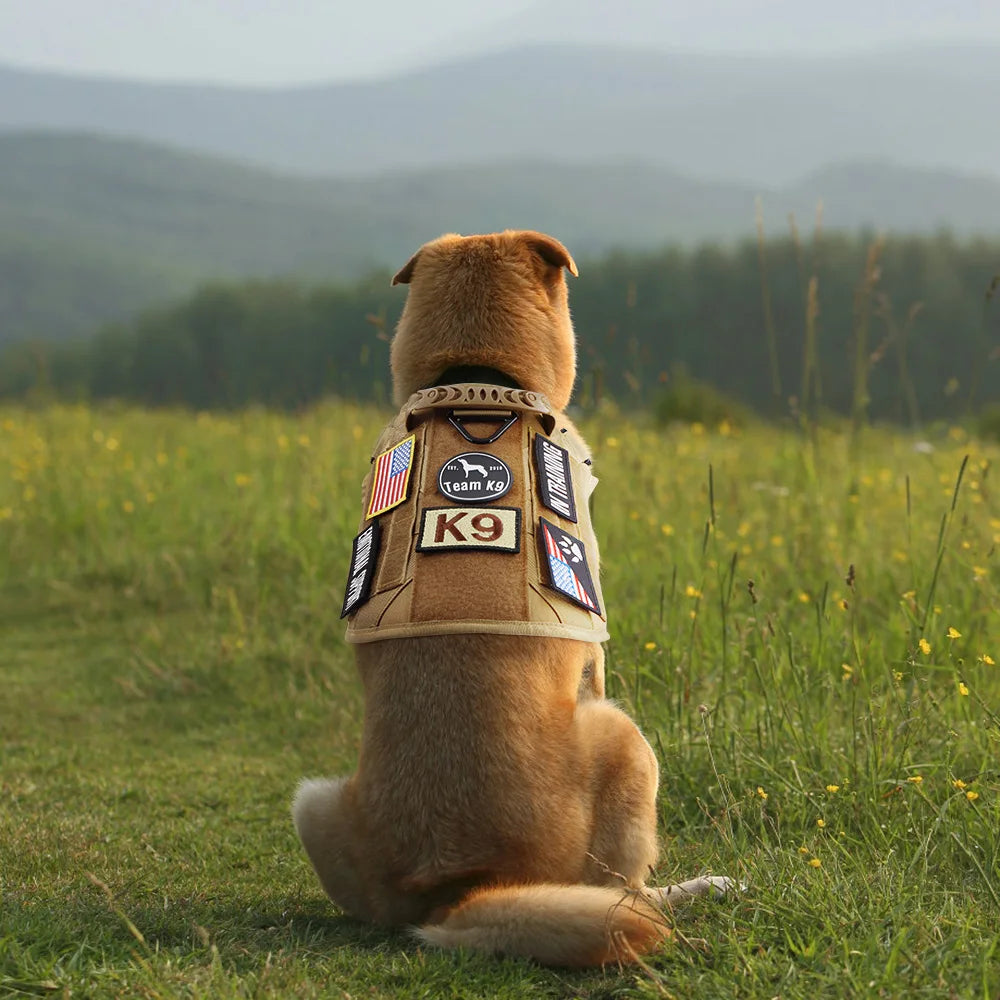 1 Piece Dog Patch for Service Dog Vest Cat Vest Removable Tactical Harness Service Dog Puppy Training Embroidered Patch Beauty World Shop
