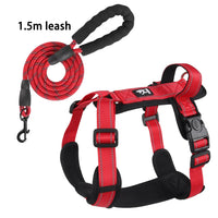 Red with leash