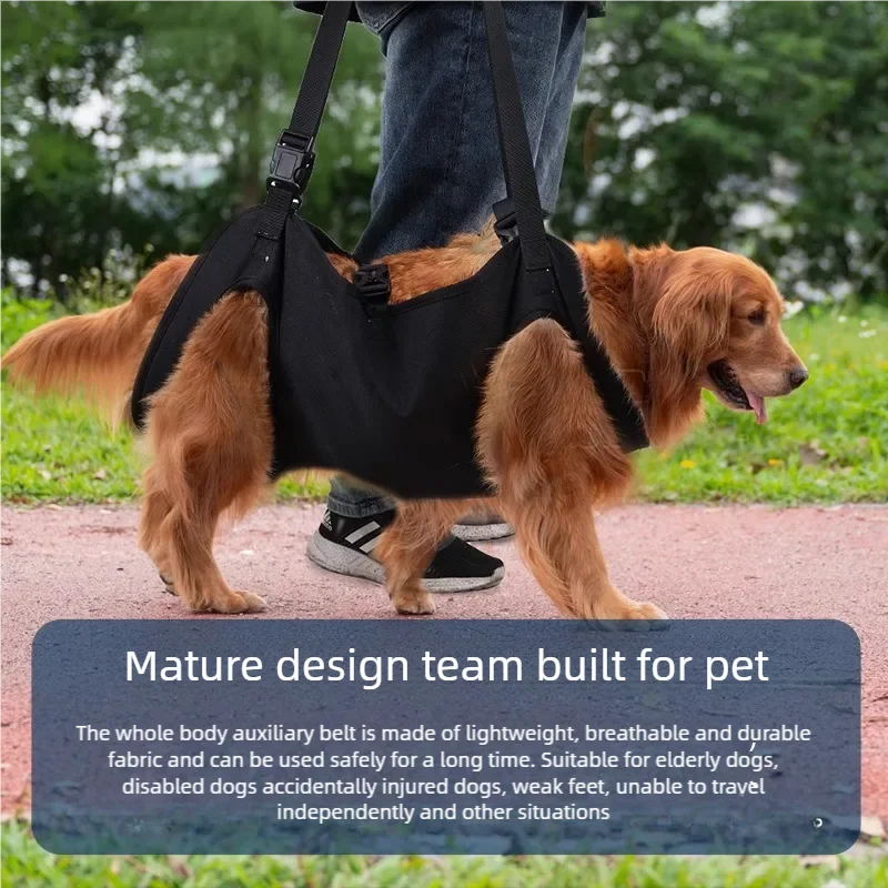 Dog-Assisted Rehabilitation Exercises for Elderly Disabled Dogs, Take You Upstairs and Help with Carrying Pet Backpacks