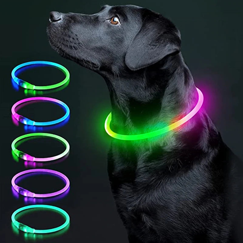 USB Rechargeable Luminous Collar Adjustable Led Glowing Dog Collar for Large Small Dogs Cat Night Light Collar Pet Safety Harnes Beauty World Shop