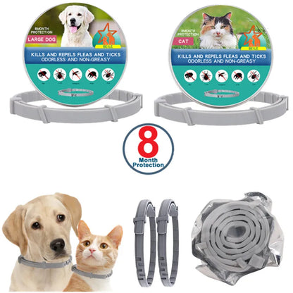 USB Rechargeable Luminous Collar Adjustable Led Glowing Dog Collar for Large Small Dogs Cat Night Light Collar Pet Safety Harnes Beauty World Shop