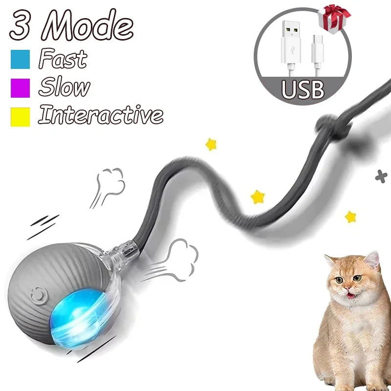 1~2Pcs Cat Interactive Ball Toys Automatic Rolling Ball Faux Tail Rechargeable Smart Pet Electric Toy Cat Training Imitate Mouse