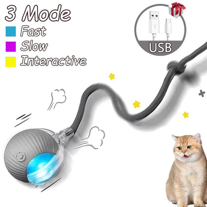 1~2Pcs Cat Interactive Ball Toys Automatic Rolling Ball Faux Tail Rechargeable Smart Pet Electric Toy Cat Training Imitate Mouse