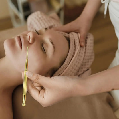 Facial Reflexology Massage Tool Retractable Acupuncture Pen Double Headed Spring Ear Care Tool Point Probe Pen Massager for Face Beauty Trend Shop