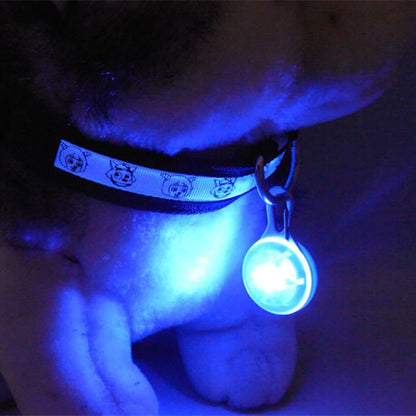 LED Glowing Pendant Flashlight Dog Cat Collar Pet Leads Glow  Accessories  Bright Necklace Luminous Collar  Night Safety Decor Beauty World Shop