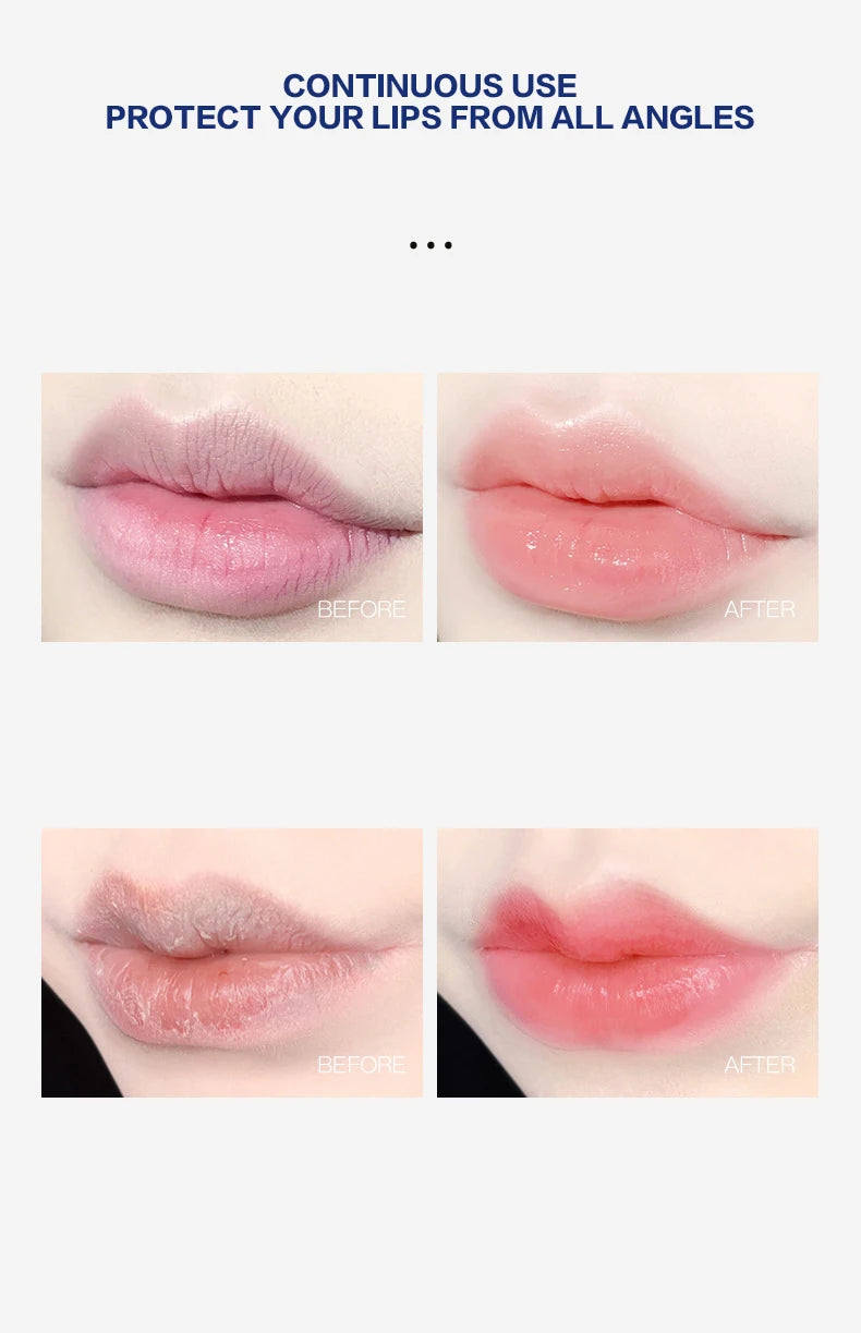 4/6/8pcs Moisturizing Lip Balm Set Whitening Moisturizing Base Natural Plant Base Moisturizing Crack Lip Care Jelly Moisturizer Beauty World Shop