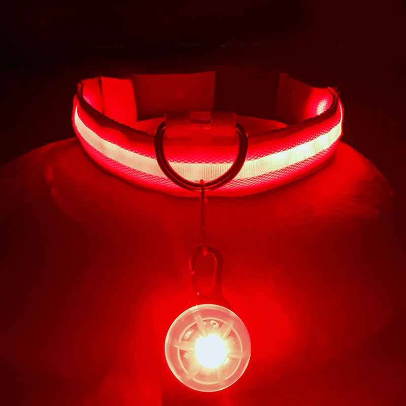 Usb Charging Glowing Dog Collar With Pendant Detachable Luxury Led Light Bright For Small Dogs Cat Night Safety Collar Wholesale Beauty World Shop