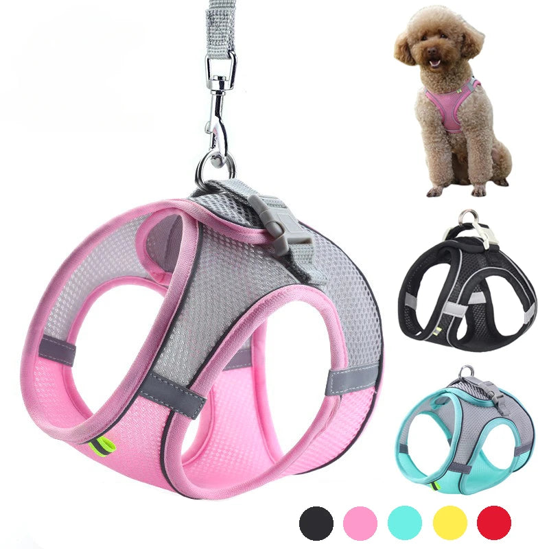 Puppy Harness Set Dog Accessories Adjustable Puppy and Cat Harness Vest French Bulldog Chihuahua Small Dog Collar Pet Leash Dogs Beauty World Shop