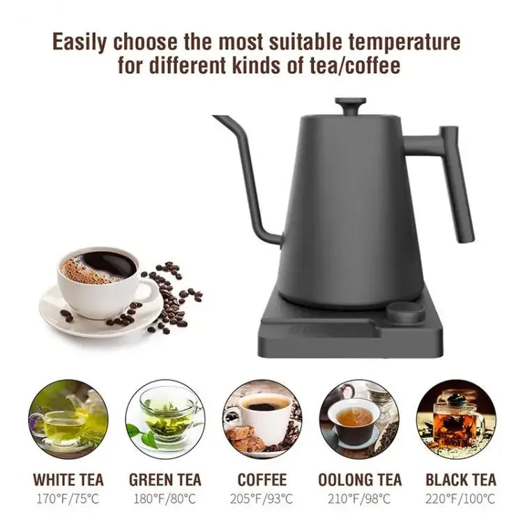 1200W Gooseneck Electric Kettle with Temperature Control Electric Kettle for Coffee and Tea Kettle Coffee Pot 110v/220v Beauty World Shop