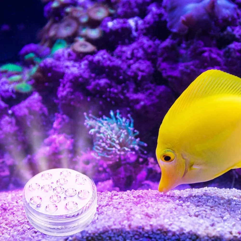 USB Pool Lights Rechargeable Submersible LED Lights with Remote RF IP68 Underwater Waterproof Pond Light for Inground Pool Decor Beauty World Shop
