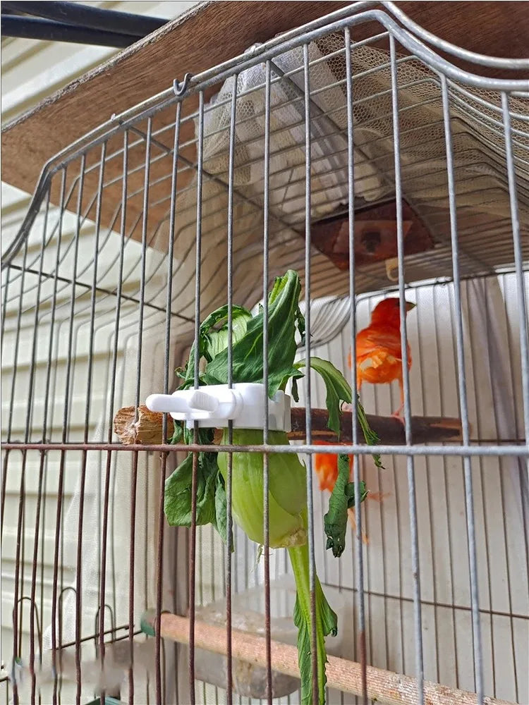 Cute Small Pet Bird Food Holder Parrot Fruits Vegetables Clip Cuttlefish Bone Feeder Device Clamp Bird Cage Accessories Oiseaux Beauty World Shop