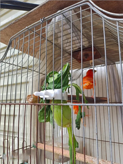 Cute Small Pet Bird Food Holder Parrot Fruits Vegetables Clip Cuttlefish Bone Feeder Device Clamp Bird Cage Accessories Oiseaux Beauty World Shop