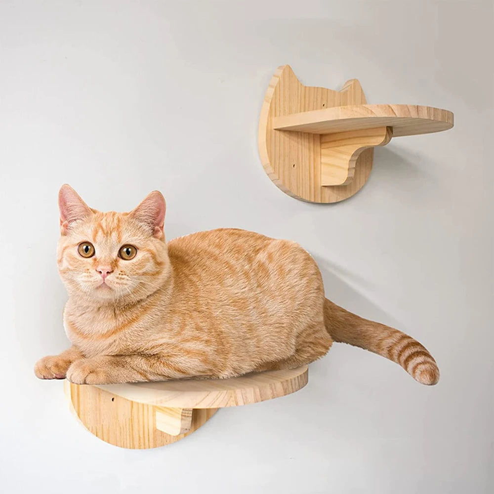 Cat Wall Climbing Shelf Steps Ladder Scratching Post Scratcher Bed Hiding House for Cats Tree Tower Pet Furniture Accessories Beauty World Shop