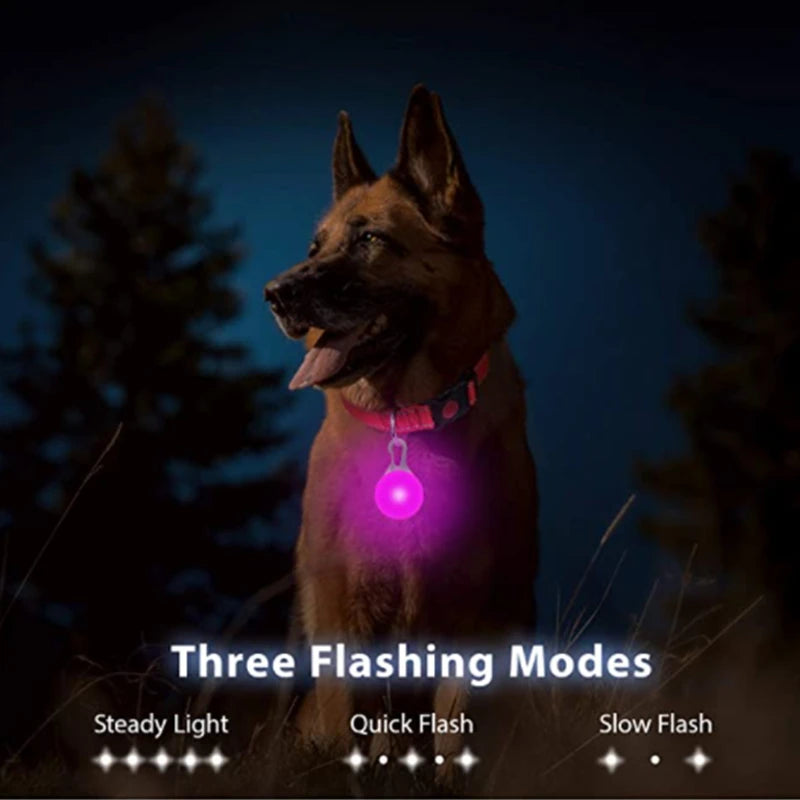 Usb Charging Glowing Dog Collar With Pendant Detachable Luxury Led Light Bright For Small Dogs Cat Night Safety Collar Wholesale Beauty World Shop
