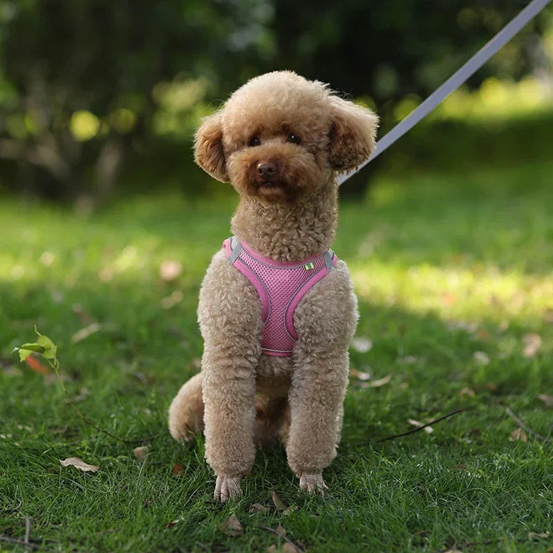 Puppy Harness Set Dog Accessories Adjustable Pet Vest Dogs French Bulldog Chihuahua Small Dog Collar Supplies Products Home Beauty World Shop