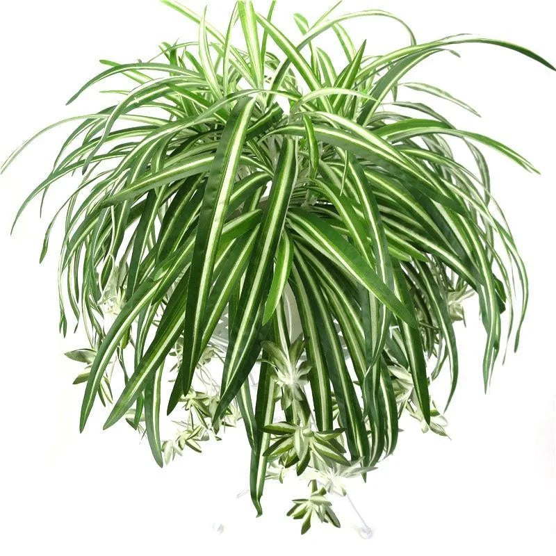 Artificial Plants Wall Hanging Chlorophytum Potted Green Plants PVC Fake Plants Simulation Flower Living Room Decor 65cm Beauty World Shop