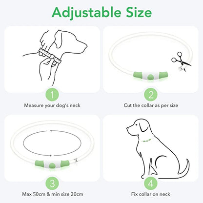 Luminous Dog Collar Light Charge Cat Necklace, Led Fashion Flashing DIY Glowing Safety Collar for Dogs Nighttime Pet Accessorie Beauty World Shop