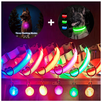 Usb Charging Glowing Dog Collar With Pendant Detachable Luxury Led Light Bright For Small Dogs Cat Night Safety Collar Wholesale Beauty World Shop