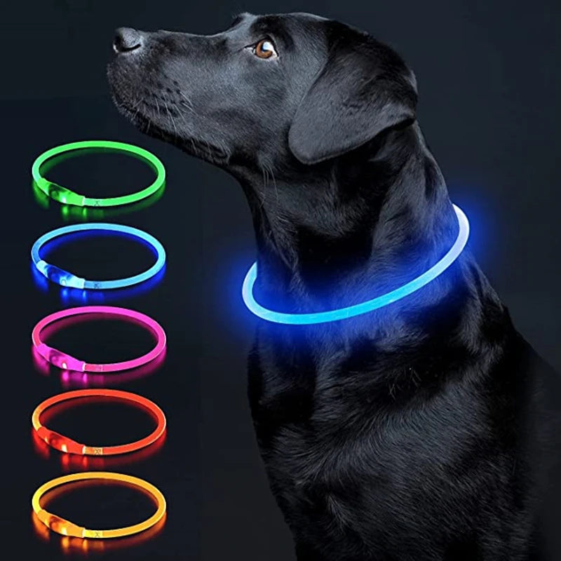 Luminous Dog Collar Light Charge Cat Necklace, Led Fashion Flashing DIY Glowing Safety Collar for Dogs Nighttime Pet Accessorie Beauty World Shop