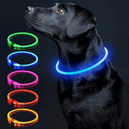Luminous Dog Collar Light Charge Cat Necklace, Led Fashion Flashing DIY Glowing Safety Collar for Dogs Nighttime Pet Accessorie Beauty World Shop