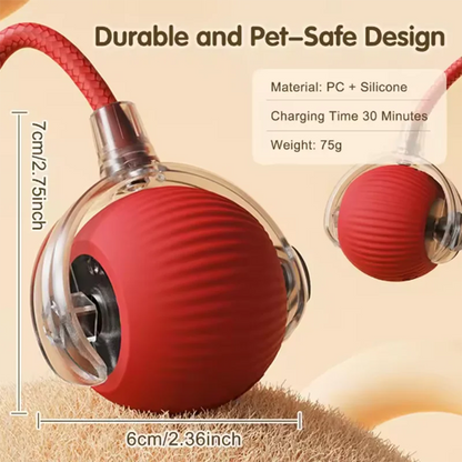 Hot cat toys are automatically teasing cat balls and self-exciting cat sticks and ticks and resistant to wear and bite pet toys Beauty World Shop