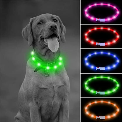 USB Rechargeable Luminous Collar Adjustable Led Glowing Dog Collar for Large Small Dogs Cat Night Light Collar Pet Safety Harnes Beauty World Shop