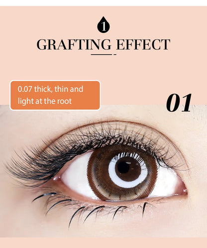 DeceMars 6D-W shaped eyelash extension Beauty World Shop