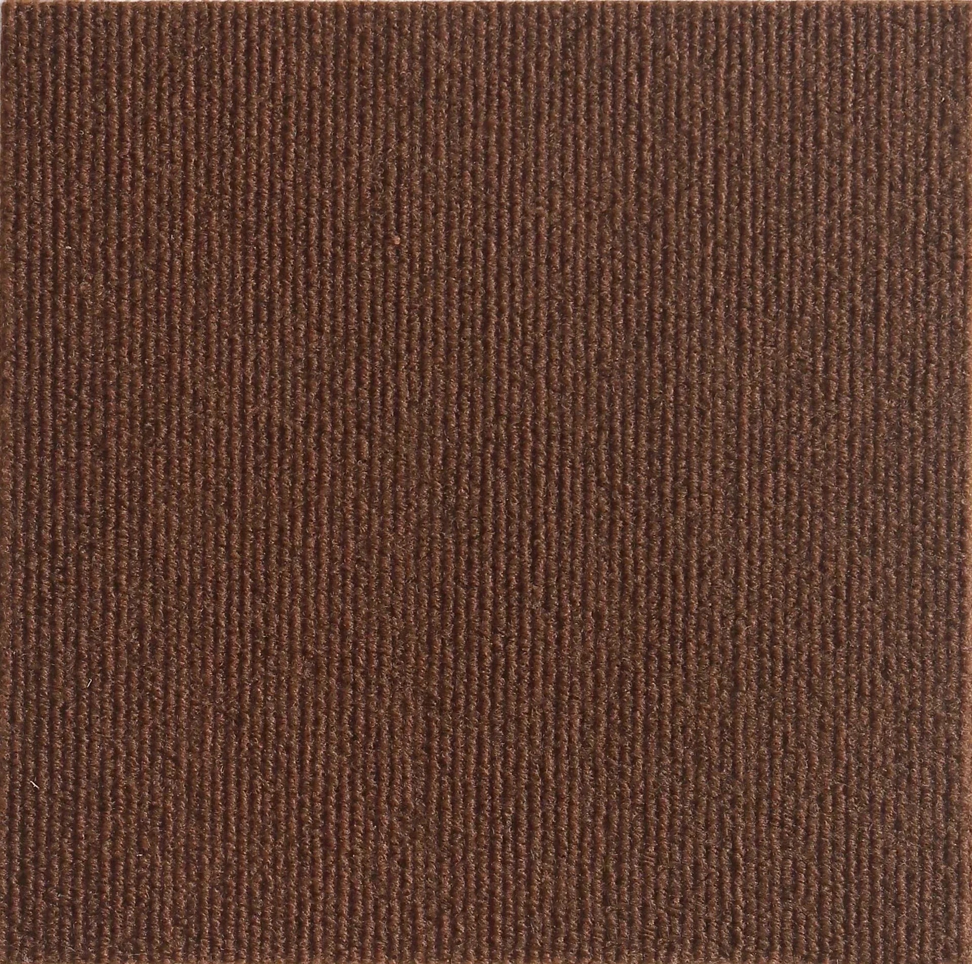 Self-Adhesive Cat Scratching Board Trimmable Cat Carpet Mat Anti Cat Scratcher Furniture Couch Corner Indoor Sofa Wall Protector Beauty World Shop