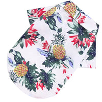 White Pink Pineapple