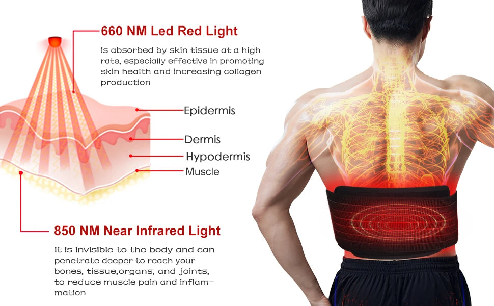 Infrared Light LED Healthcare Belt Waist Red Light Heating Massage Belt Pad Lumbar Back Waist Massager For Muscle Body Relief Beauty World Shop