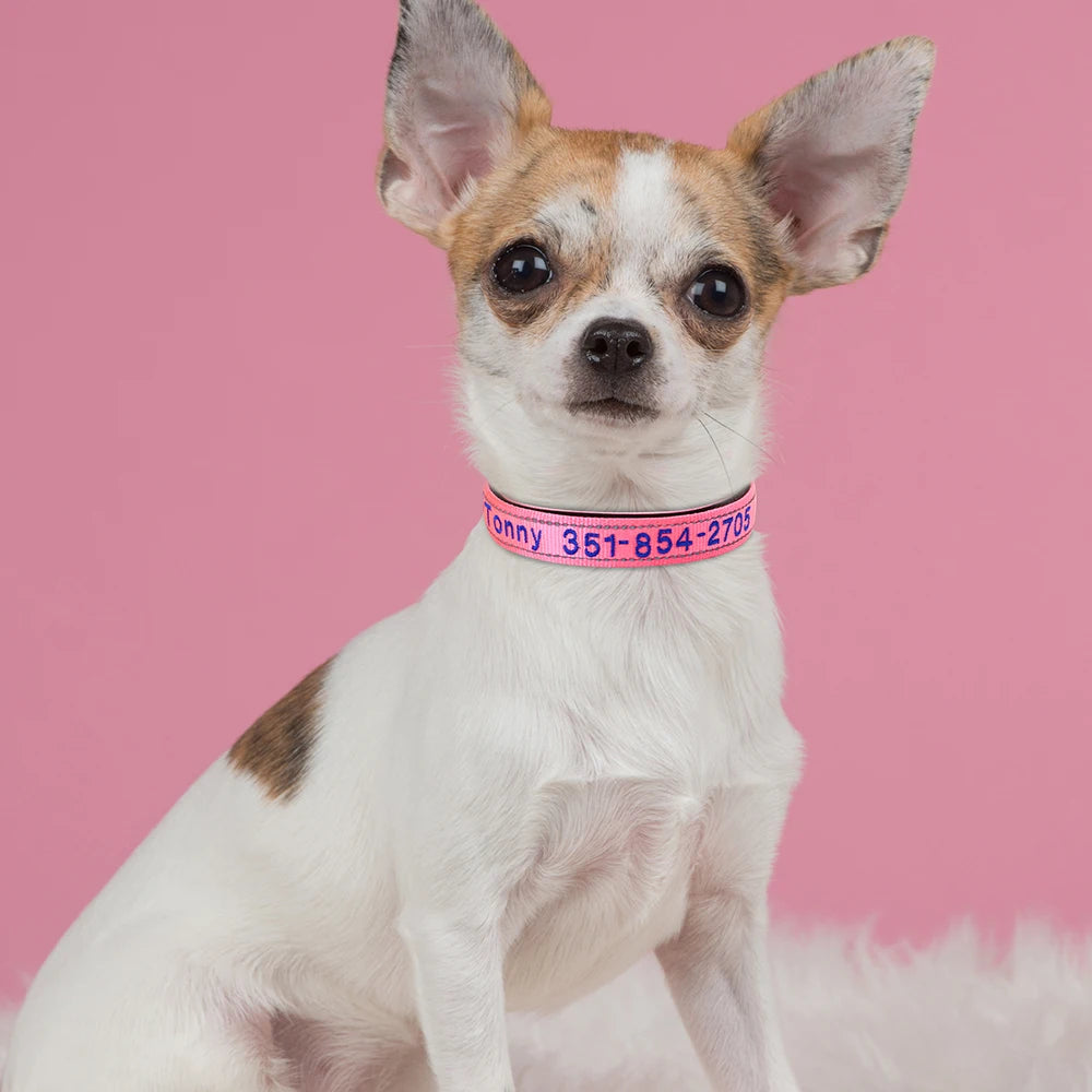 Embroidered Nylon Dog Collar Personalized Puppy Cat Collars Reflective Pet ID Collars DIY Phone Name ID For Small Large Dog Cat Beauty World Shop